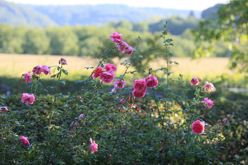 فندق لا روك-غاجياكفي  La Ferme Fleurie المظهر الخارجي الصورة